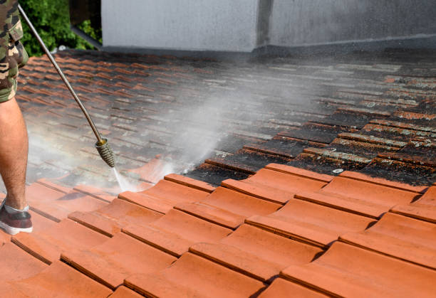 Best Local Pressure Washing Services  in Lake Lakengren, OH