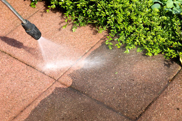 Best Pressure Washing Driveway  in Lake Lakengren, OH